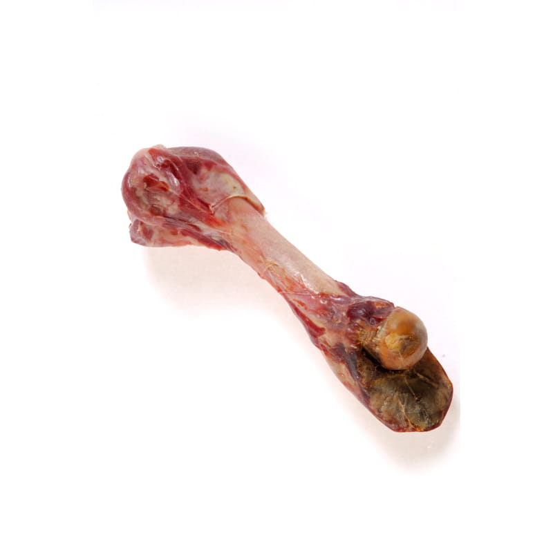 kość parmeńska.jpg